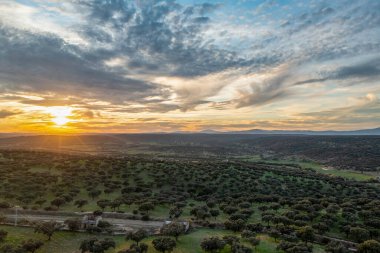 Aerial drone view of autumn landscape at sunset in northern Extremadura, Spain, with road, trees, plants and rocks. Concept of rural, healthy life, travel, transport, sport and adventure.