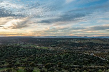 Aerial drone view of autumn landscape at sunset in northern Extremadura, Spain, with road, trees, plants and rocks. Concept of rural, healthy life, travel, transport, sport and adventure.