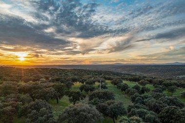 Aerial drone view of autumn landscape at sunset in northern Extremadura, Spain, with road, trees, plants and rocks. Concept of rural, healthy life, travel, transport, sport and adventure.
