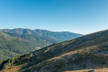 Aerial drone view of landscape sunny day in spring in northern Extremadura, Spain, with road, trees, plants and rocks. Concept of rural, healthy life, travel, transport, sport and adventure.