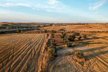 Aracın işaretli, ağaçlı ve yollu kuru çimenli, insansız hava aracı yaz manzarası. Kırsal yaşam, özgür, sağlıklı ve ulaşım konsepti. Yatay fotoğraf ve seçici odak