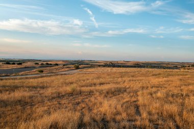 Aracın işaretli, ağaçlı ve yollu kuru çimenli, insansız hava aracı yaz manzarası. Kırsal yaşam, özgür, sağlıklı ve ulaşım konsepti. Yatay fotoğraf ve seçici odak