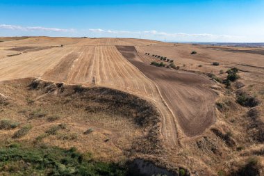 Aracın işaretli, ağaçlı ve yollu kuru çimenli, insansız hava aracı yaz manzarası. Kırsal yaşam, özgür, sağlıklı ve ulaşım konsepti. Yatay fotoğraf ve seçici odak