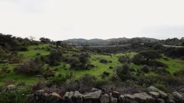 Arka planda, meşe ağaçları, meşe mantarları ve plasencia, Cceres, İspanya 'da arka planda arabaların olduğu bir dağ manzarasının panoramik videosu. Özgür, kırsal yaşam, macera ve spor kavramı.