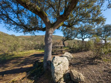  İspanya, Extremadura 'daki Monfrage Doğal Parkı' ndaki meşe ağacının altında kırsal piknik masası. Gezginler ve yürüyüşçüler için sakin bir açık hava ortamı ideal.