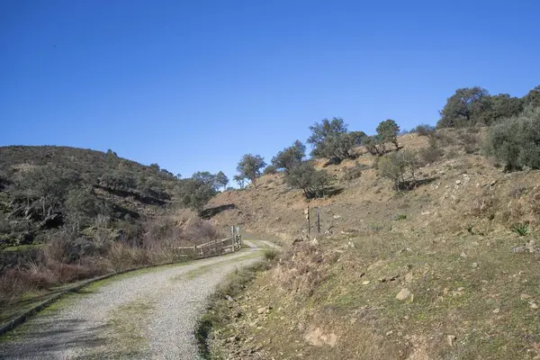  Monfrage Doğal Parkı, Extremadura, İspanya 'da manzara yürüyüşü yolu. Akdeniz tepeleri üzerinde mavi gökyüzü ve kuru manzara. Kırsal turizm ve doğa konsepti.