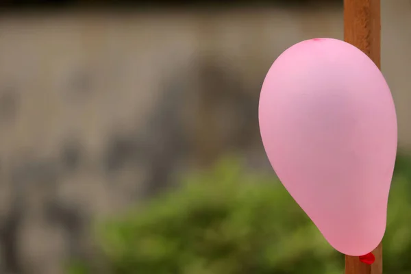 pink balloons and green grass in the garden, close-up,