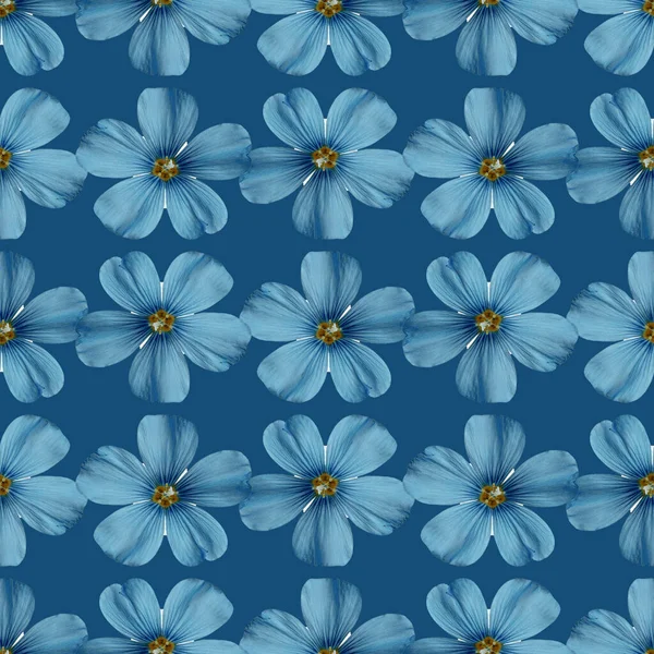 Płynny Wzór Niebieskimi Kwiatami Lnu Niebieskim Tle — Zdjęcie stockowe