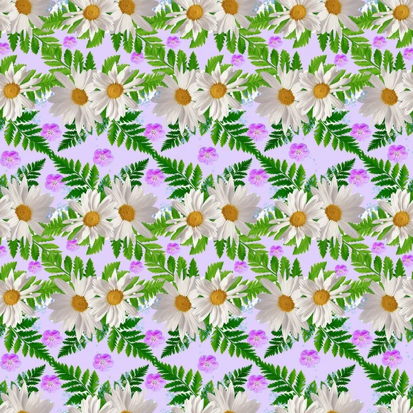 Seamless pattern with daisies and fern.  illustration.