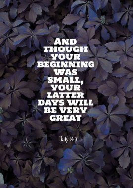 İngilizce İncil 'den mısralar 