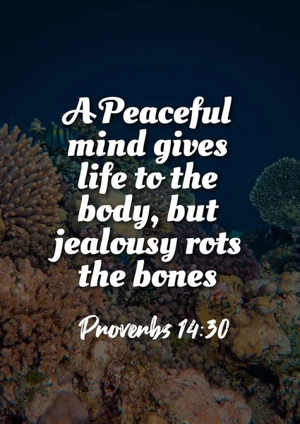 English Bible詩 平和的な心は体に命を与えるが 嫉妬は骨を腐らせる箴言14 ストックフォト