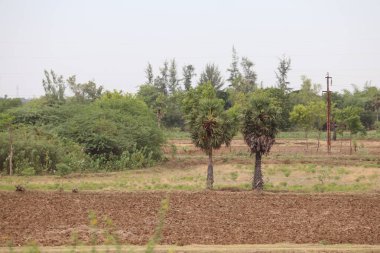 Güzel bir manzara. Doğa arkaplanı