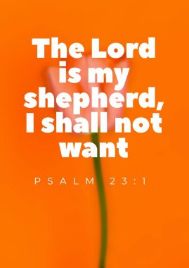 İncil 'in ayetleri: 