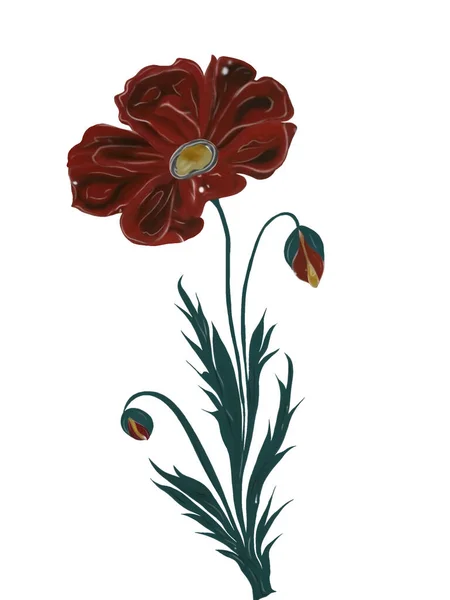 カラフルな流行の花とアパレルデザインのための葉を持つ美しい抽象的な花のデザイン 幻想的な花 自然壁紙 花の装飾とシームレスなパターンは イラストをカール Paisley Print Hand Drawn Elements — ストック写真