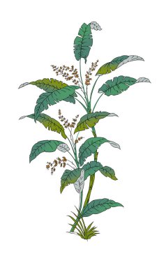 Renkli çiçekleri ve giyim tasarımı için yaprakları olan güzel, soyut bir çiçek tasarımı. Çiçek motifi, çiçek çizimi, çiçek kompozisyonu., 