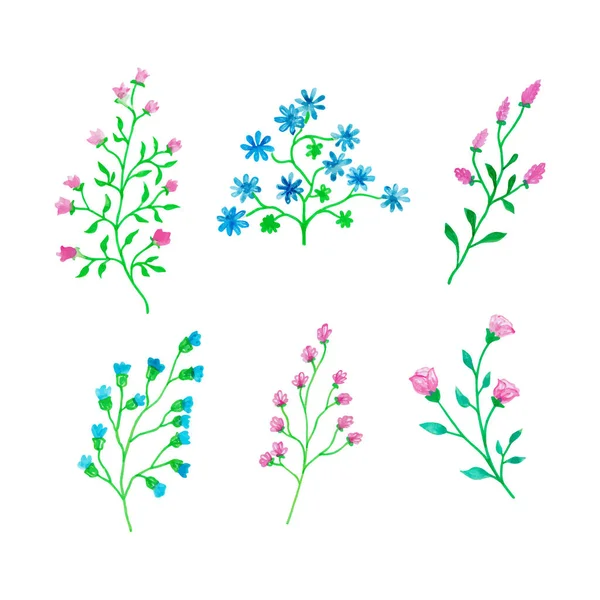 Schöne Aquarell Blumenzweig Handgezeichnete Aquarell Vektorillustration Für Grußkarte Oder Einladungsdesign — Stockvektor