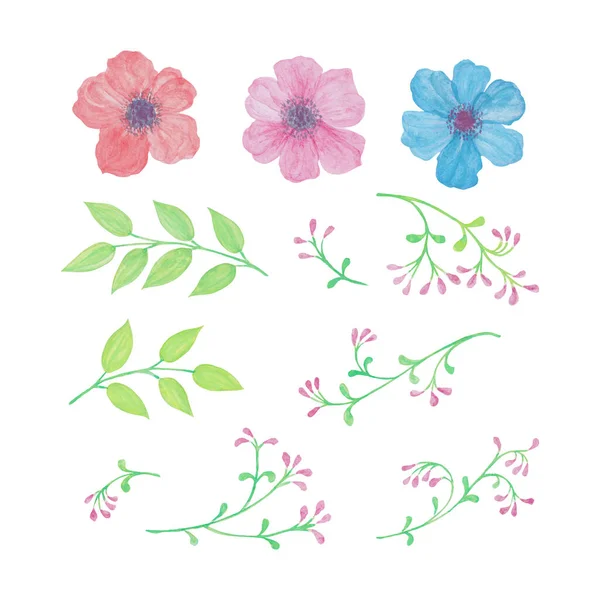 Botanische Blumen Und Blätter Farbenfrohe Handgezeichnete Aquarell Vektorillustration Für Grußkarten — Stockvektor