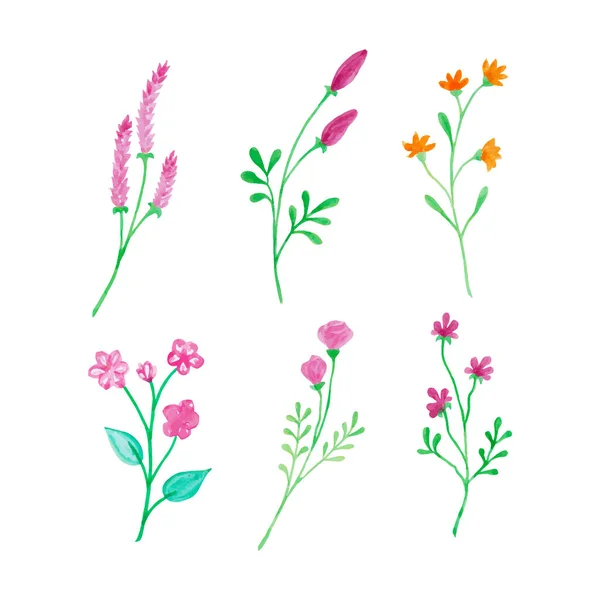 Aquarell Botanische Blume Handgezeichnete Aquarell Vektorillustration Für Grußkarte Oder Einladungsdesign — Stockvektor