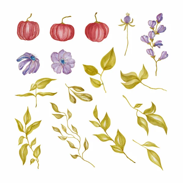 Roter Kürbis Blumen Und Blätter Handgezeichnete Aquarell Vektorillustration Für Grußkarte — Stockvektor