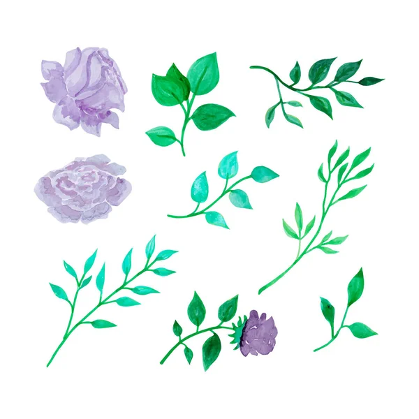 Handgezeichnete Botanische Blumen Und Blätter Handgezeichnete Aquarell Vektorillustration Für Grußkarte — Stockvektor