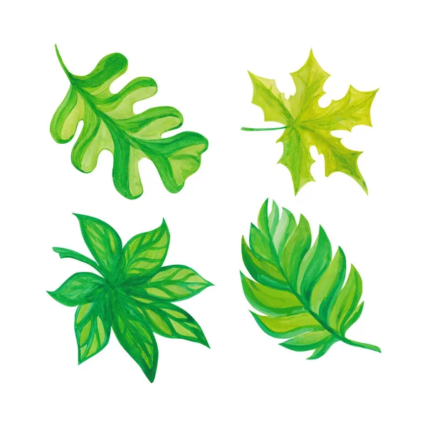 Set Aus Herbstlichen Aquarellblättern Handgezeichnete Aquarell Vektorillustration Für Grußkarte Oder — Stockvektor