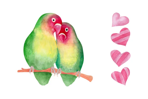 Acquerello Valentini Giorno Amore Uccello Coppia Disegnato Mano Acquerello Vettoriale — Vettoriale Stock