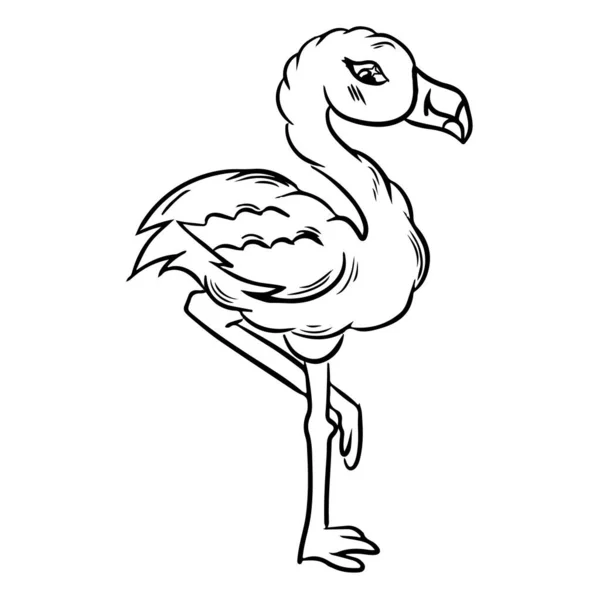 Flamingo Línea Vector Ilustración Blanco Negro Para Colorear Página Libro — Vector de stock