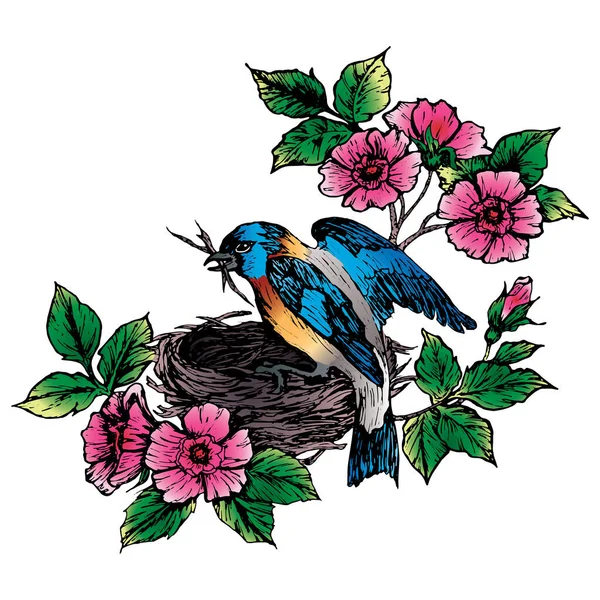 Colorida Ilustración Tinta Acuarela Pájaro Pinzón Sentado Una Rama Primavera — Vector de stock