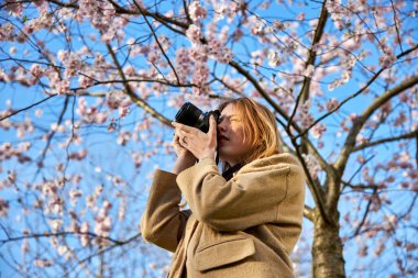 Kızıl saçlı kız kiraz çiçeğinin önünde fotoğraf çekiyor.