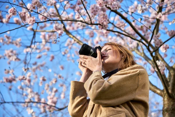 stock image redhead girl taking photos in front of cherry blossom