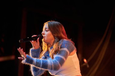 Nibe Festivali 'nde Danimarkalı sanatçı