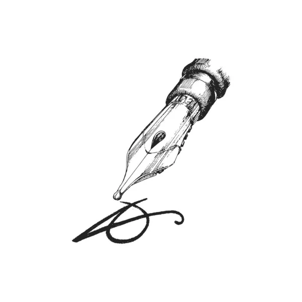 Pen Nib Hand Drawn Illustration Vector — Stock Vector