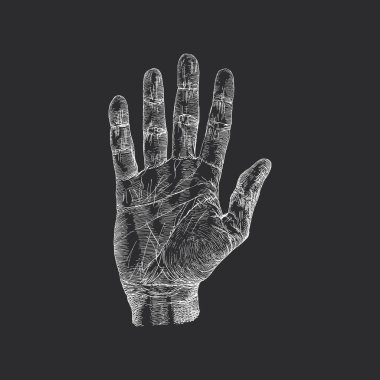 El falı, kabartma biçiminde vektör illüstrasyonu, klasik çizim