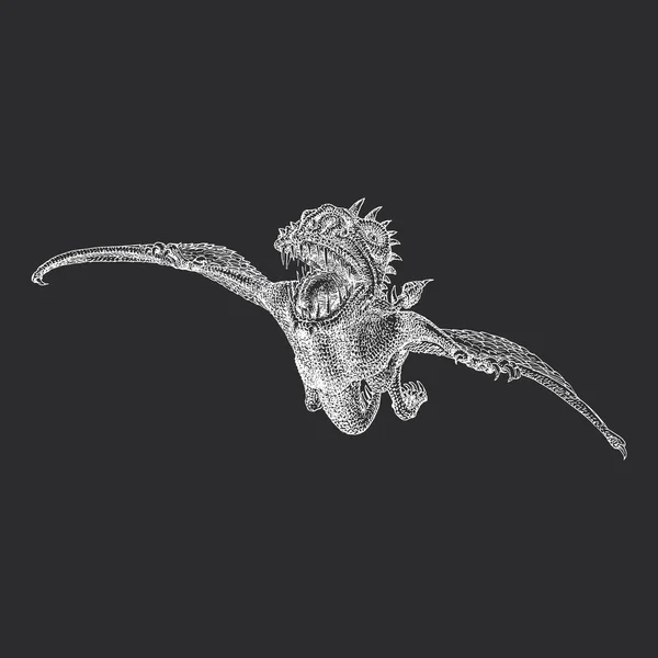 侏罗纪翼龙在飞行中 矢量插图在雕刻风格 飞龙手绘草图 — 图库矢量图片