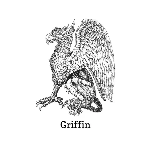 Griffin Illustration Vectorielle Style Gravure Croquis Dessiné Créature Mystique Gryphon Vecteur En Vente