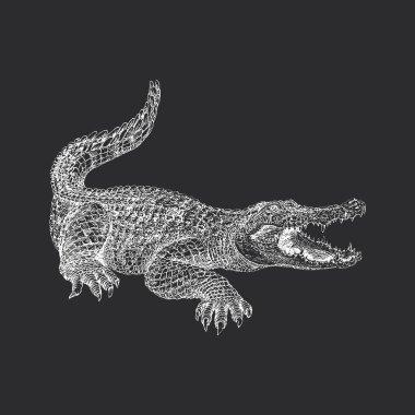 Alligator, hand drawn sketch in vector, vintage illustration of reptile in engraving style clipart