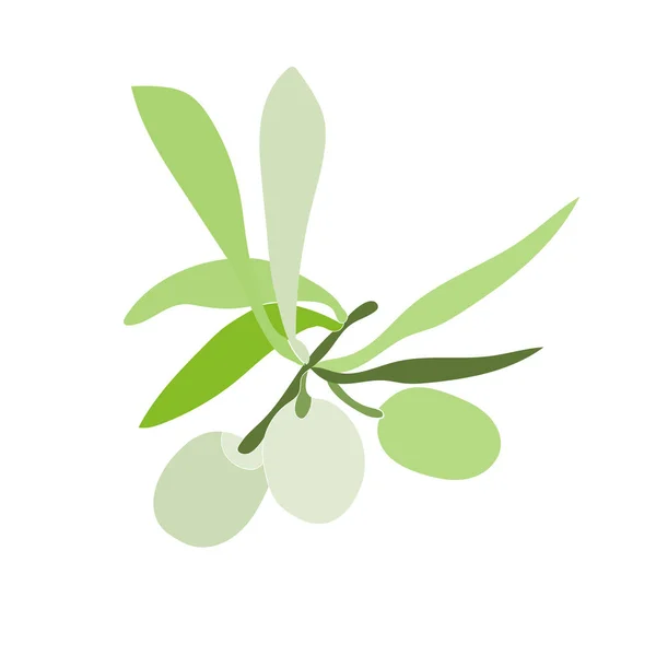 橄榄树图案 白色和彩色背景上的图像 — 图库矢量图片