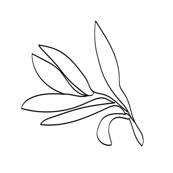 Olivový Strom Větev Vzor Obrázek Bílém Barevném Pozadí Vektor — Stockový vektor