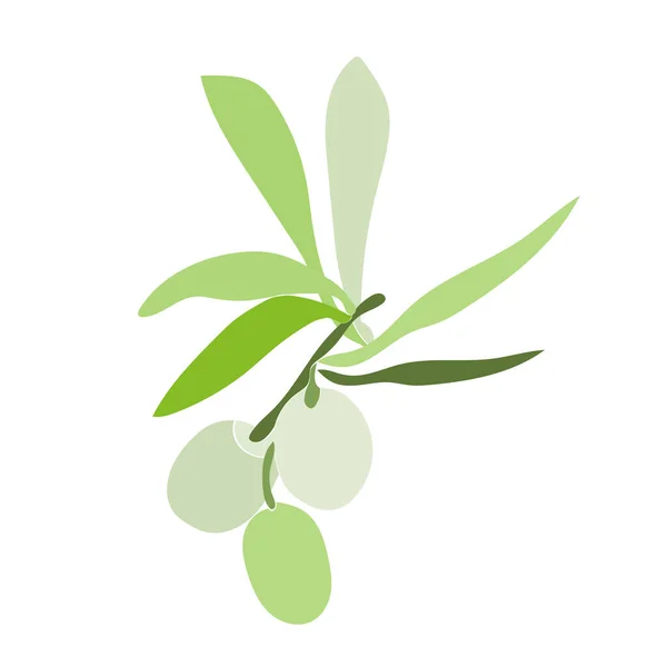 Olive Tree Branch Pattern Image White Colored Background Vector — Stock Vector