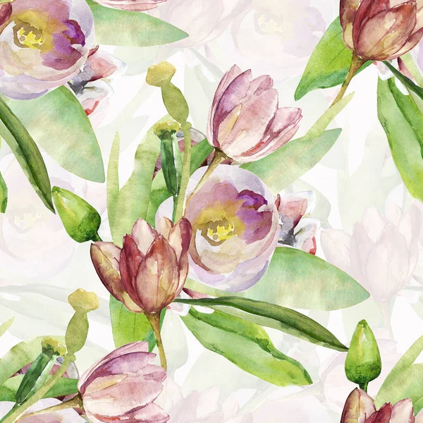 Kytice Světlých Tulipánů Obrázek Bílém Barevném Pozadí Akvarel Bezešvný Vzor — Stock fotografie