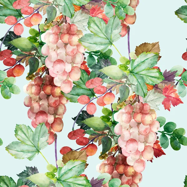 Watercolor Pattern Grapes Leaves Seamless Pattern Image White Colored Background — Stock Photo, Image