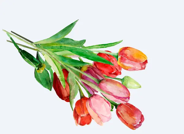 Red Tulips Pattern Image White Colored Background — Stock Photo, Image