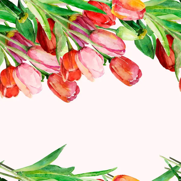 Czerwone Tulipany Bez Szwu Obraz Białym Kolorowym Tle — Zdjęcie stockowe