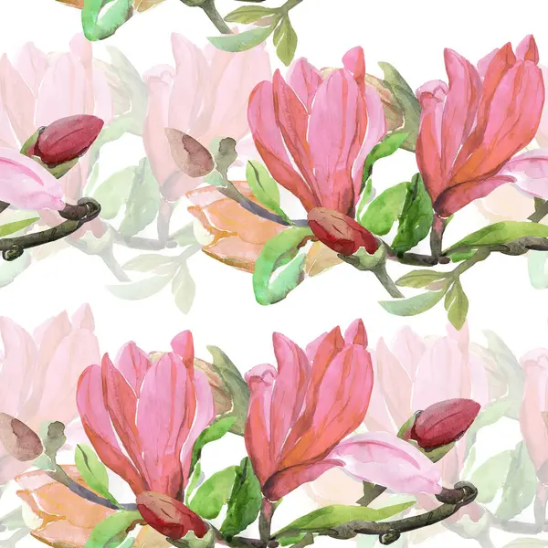 Padrão Sem Costura Flores Magnolia Image Fundo Branco Colorido Aquarela — Fotografia de Stock
