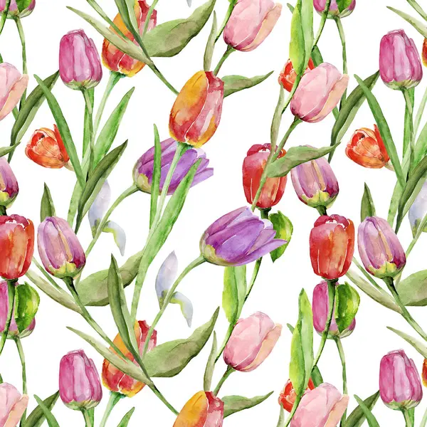 Tulipany Bez Szwu Obraz Białym Kolorowym Tle — Zdjęcie stockowe
