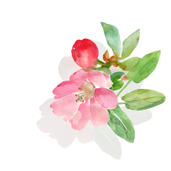 Jestem Sakura Wzór Kwiaty Akwarela Ilustracja — Zdjęcie stockowe