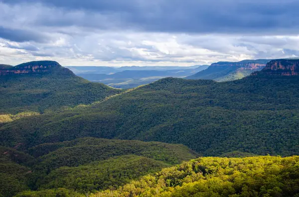 Blue Mountains Ulusal Parkı 'ndaki Mavi Dağlar' ın manzarası, Avustralya 'daki Katoomba Yeni Güney Galler.