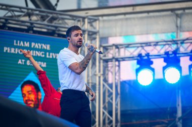 Sydney, Avustralya - 13 Ekim 2018: Liam Payne, Royal Randwick Hipodromu 'nda 13 Ekim 2018 tarihinde TAB Everest Yarış Günü' nde sahne aldı..