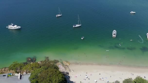 Vista Aérea Panorâmica Drone Sobre Cobblers Bay Chinamans Beach Mosman — Vídeo de Stock