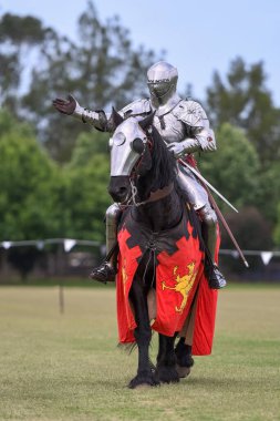 At düellosu. Mızrak dövüşü turnuvasındaki ortaçağ şövalyeleri. Şövalyeler yarışması.